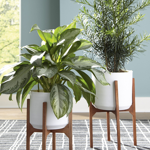 Planters
