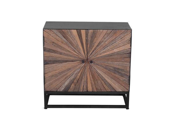Astral Plains 2 Door Accent Cabinet in Reclaimed Natural