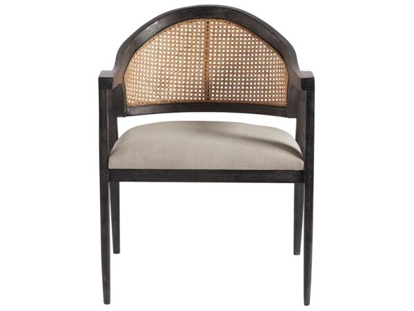 Modern Dexter Accent Chair in Onyx